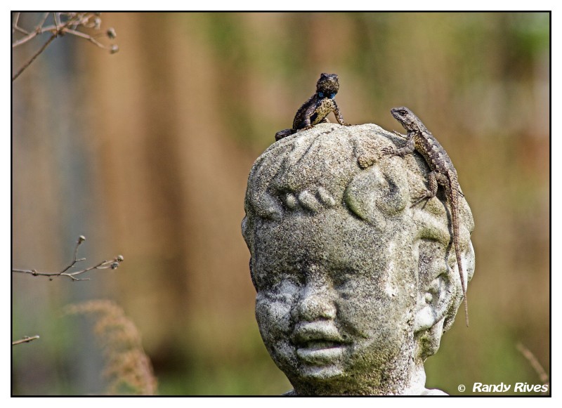 You have reached the last slide