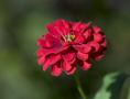 CRW_0982