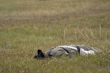 CRW_1135.jpg