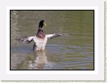 IMG_7235 * 882 x 653 * (101KB)