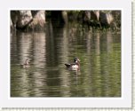IMG_9963 * 800 x 636 * (101KB)