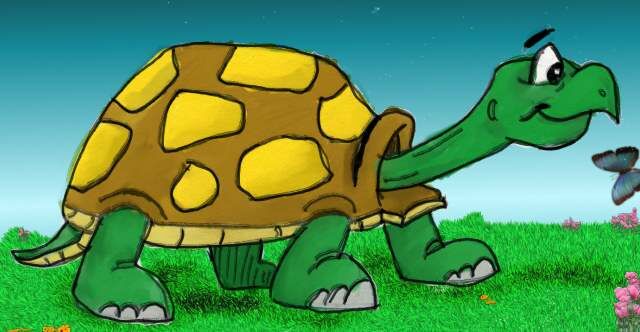 Turtle.jpg
