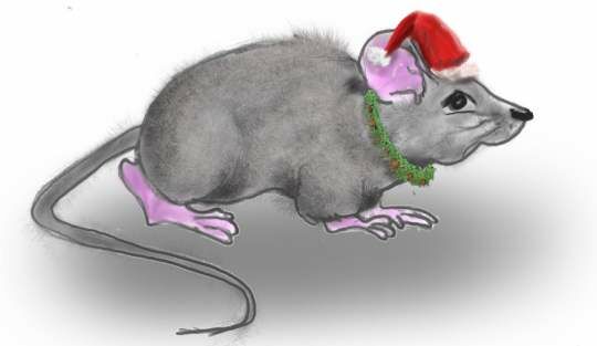 christmasMouse.jpg