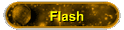 Flash