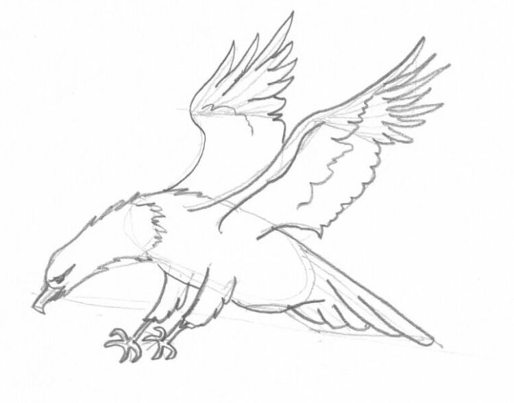 eagle.jpg