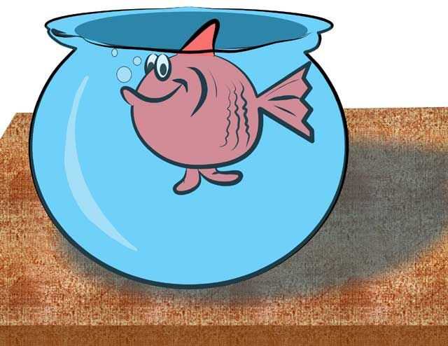 Fish_web.jpg